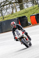 Lower Group Red Bikes